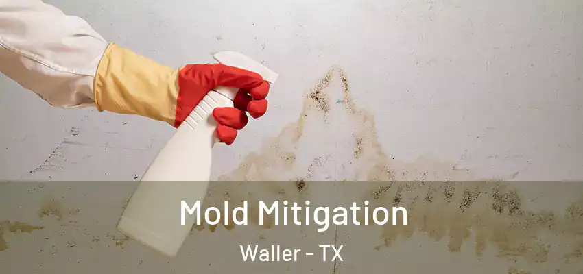  Mold Mitigation Waller - TX