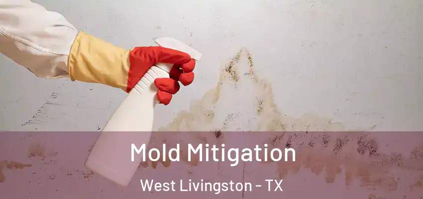  Mold Mitigation West Livingston - TX