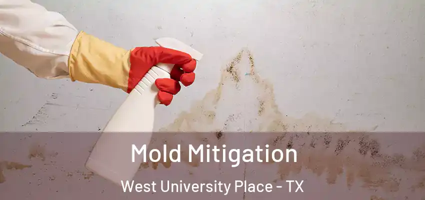  Mold Mitigation West University Place - TX