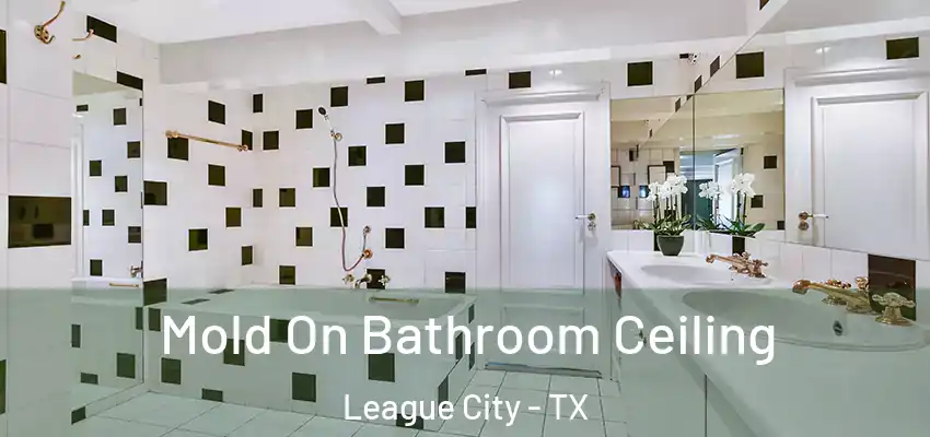  Mold On Bathroom Ceiling League City - TX