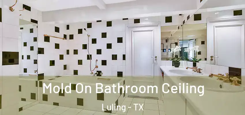 Mold On Bathroom Ceiling Luling - TX