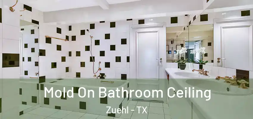  Mold On Bathroom Ceiling Zuehl - TX