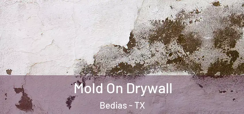  Mold On Drywall Bedias - TX