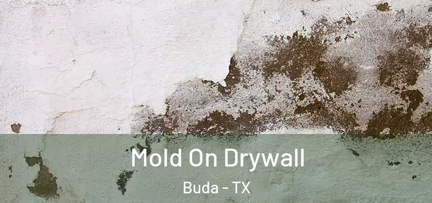  Mold On Drywall Buda - TX