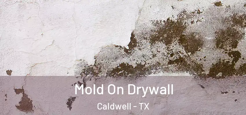  Mold On Drywall Caldwell - TX