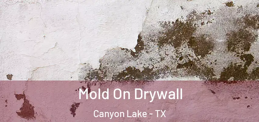  Mold On Drywall Canyon Lake - TX
