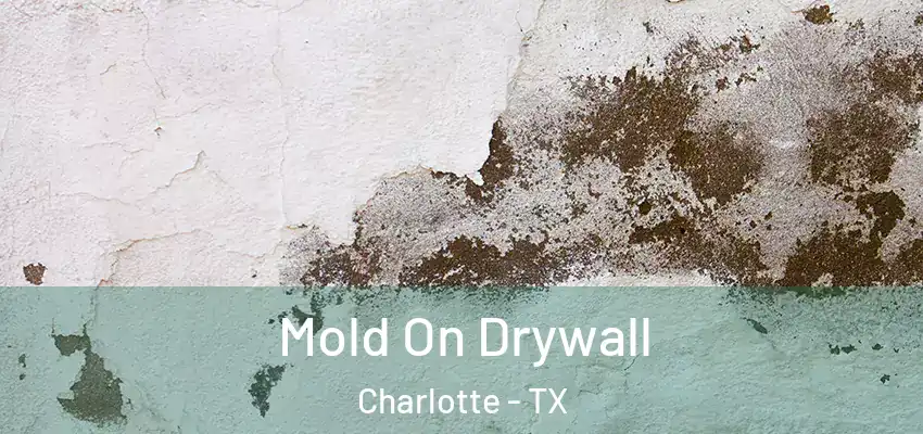  Mold On Drywall Charlotte - TX
