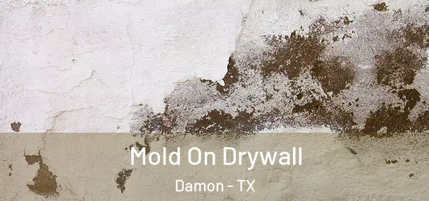  Mold On Drywall Damon - TX