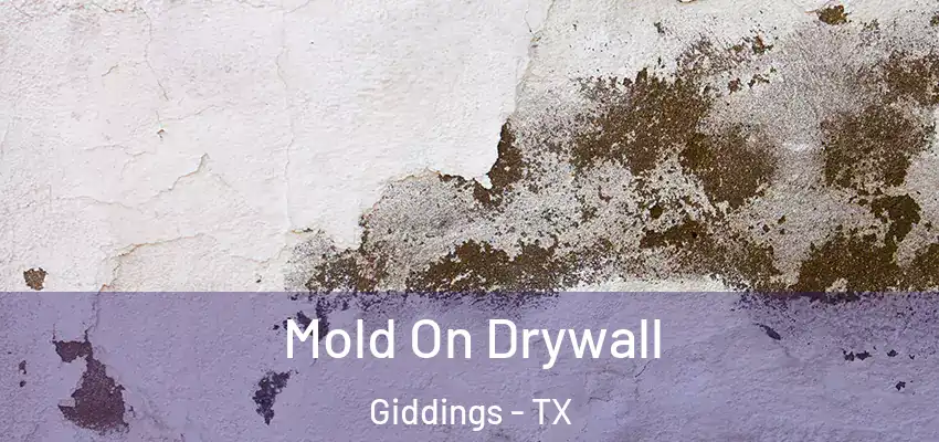  Mold On Drywall Giddings - TX