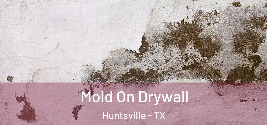  Mold On Drywall Huntsville - TX
