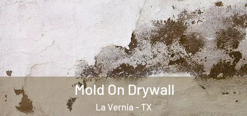  Mold On Drywall La Vernia - TX