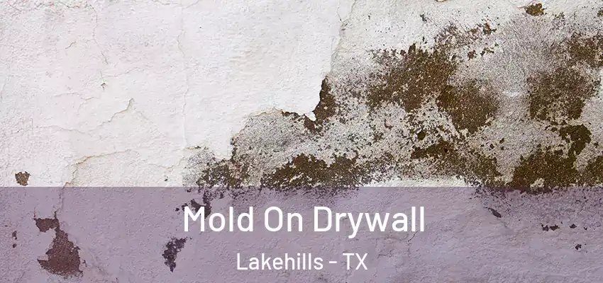  Mold On Drywall Lakehills - TX