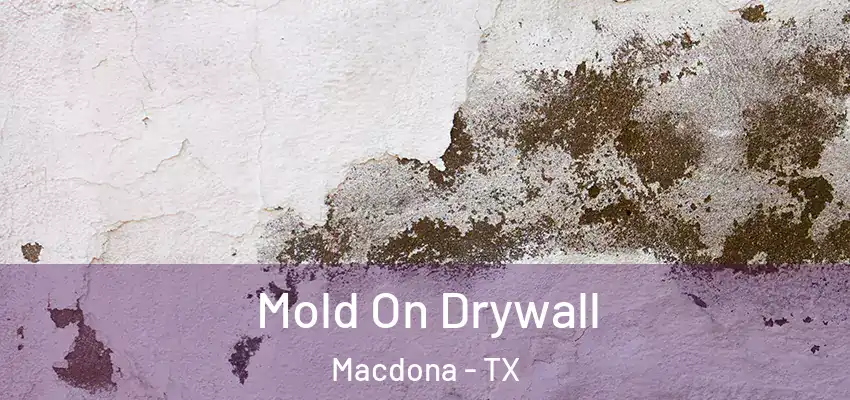  Mold On Drywall Macdona - TX