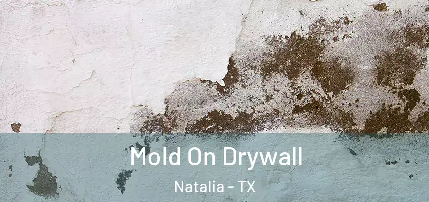  Mold On Drywall Natalia - TX