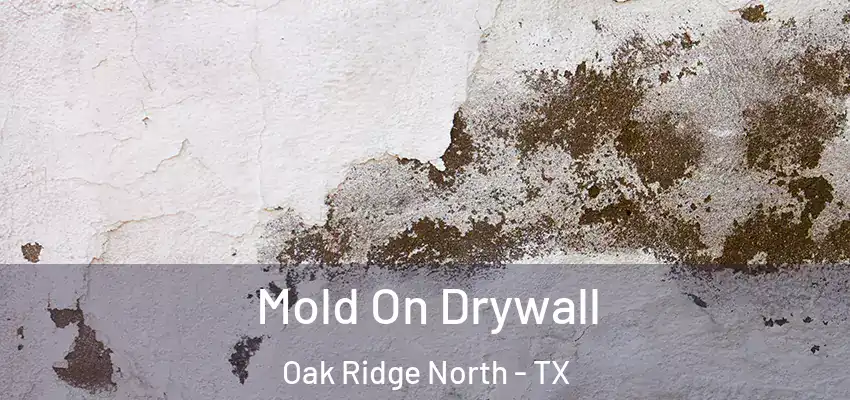  Mold On Drywall Oak Ridge North - TX