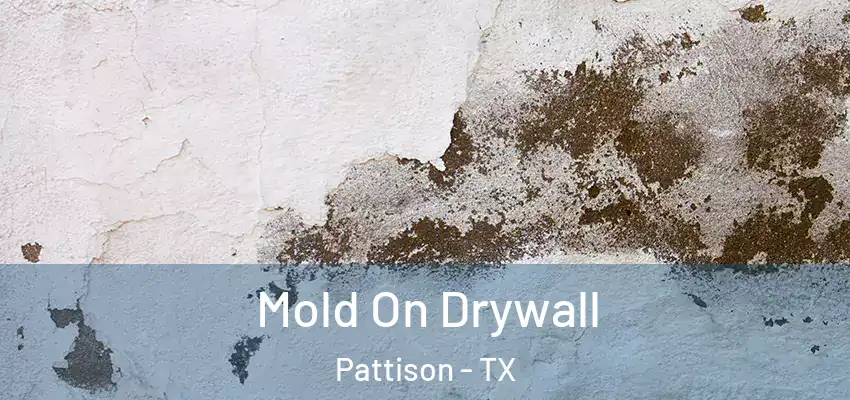  Mold On Drywall Pattison - TX