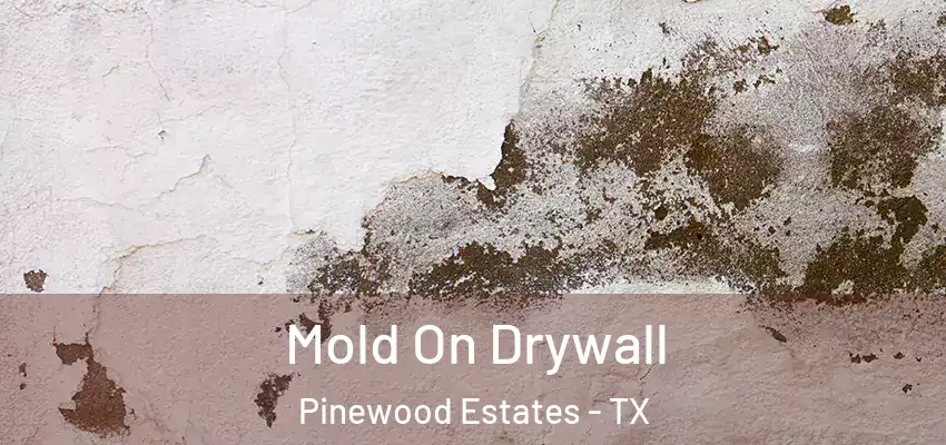  Mold On Drywall Pinewood Estates - TX