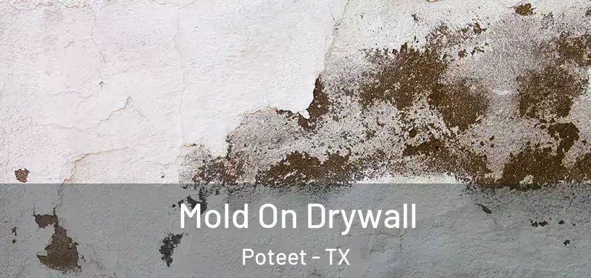  Mold On Drywall Poteet - TX