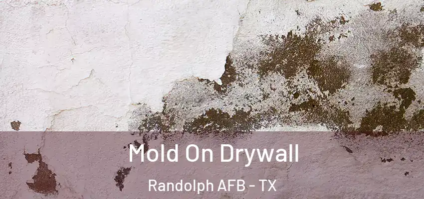  Mold On Drywall Randolph AFB - TX
