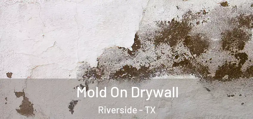  Mold On Drywall Riverside - TX