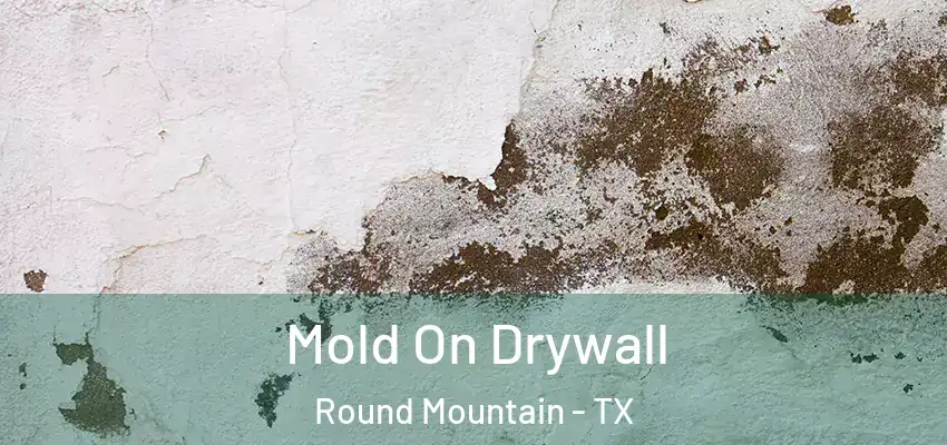  Mold On Drywall Round Mountain - TX