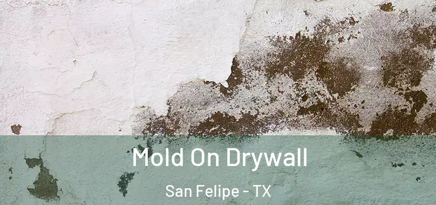  Mold On Drywall San Felipe - TX