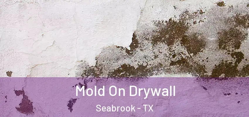  Mold On Drywall Seabrook - TX
