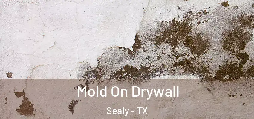  Mold On Drywall Sealy - TX