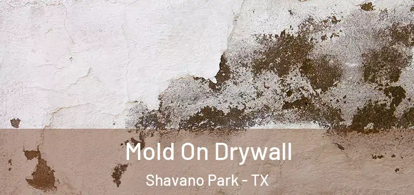  Mold On Drywall Shavano Park - TX