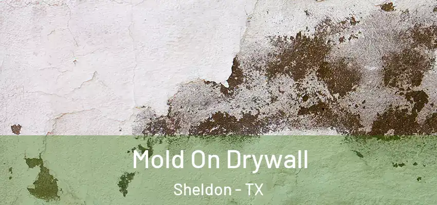  Mold On Drywall Sheldon - TX