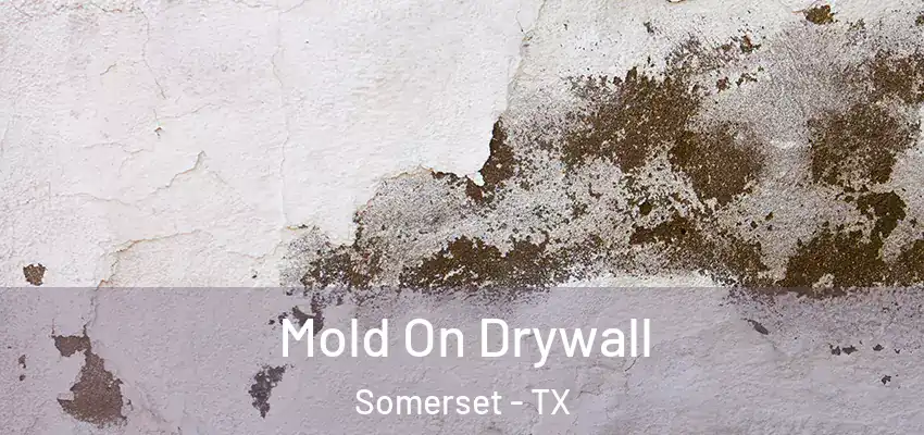  Mold On Drywall Somerset - TX