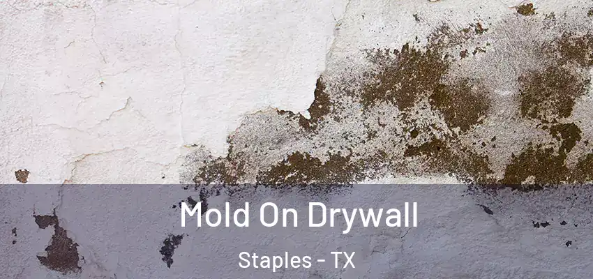  Mold On Drywall Staples - TX