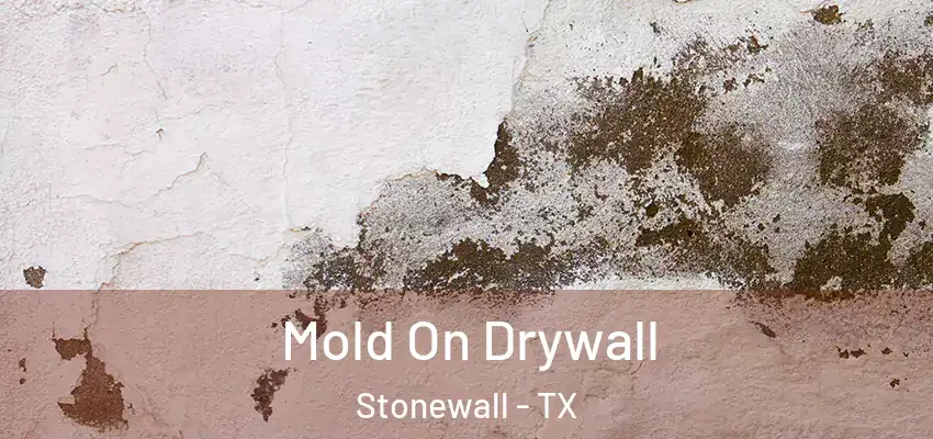  Mold On Drywall Stonewall - TX