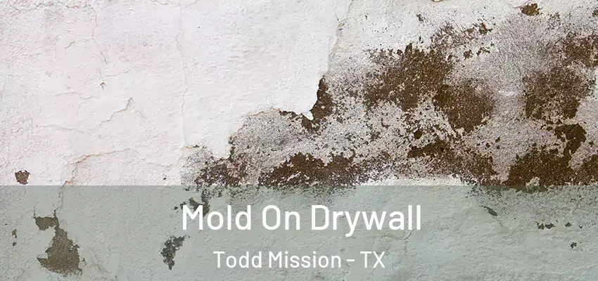  Mold On Drywall Todd Mission - TX