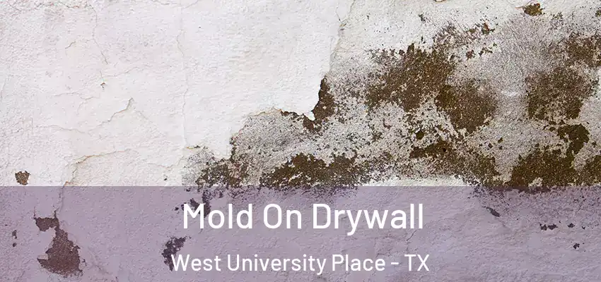  Mold On Drywall West University Place - TX