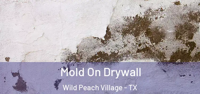  Mold On Drywall Wild Peach Village - TX