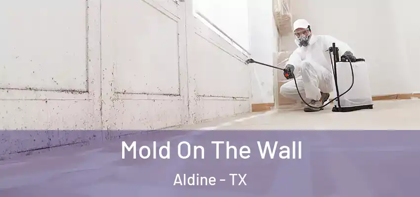  Mold On The Wall Aldine - TX