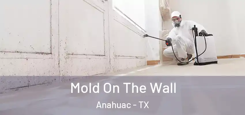  Mold On The Wall Anahuac - TX
