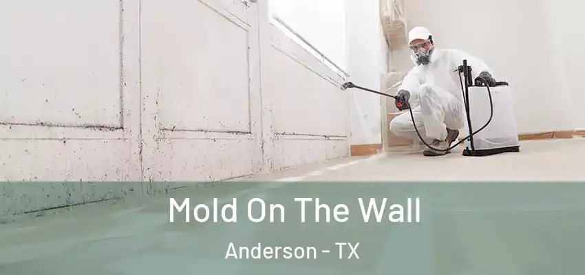  Mold On The Wall Anderson - TX