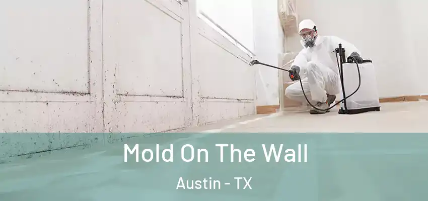  Mold On The Wall Austin - TX