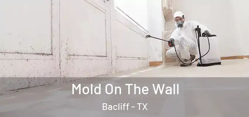  Mold On The Wall Bacliff - TX
