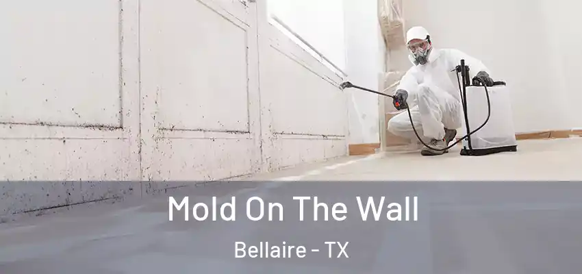  Mold On The Wall Bellaire - TX