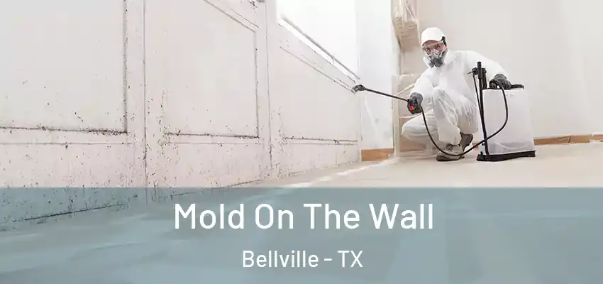  Mold On The Wall Bellville - TX