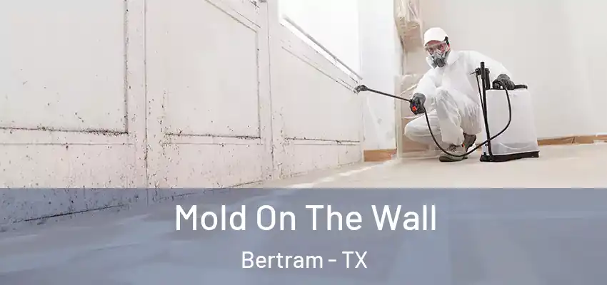  Mold On The Wall Bertram - TX