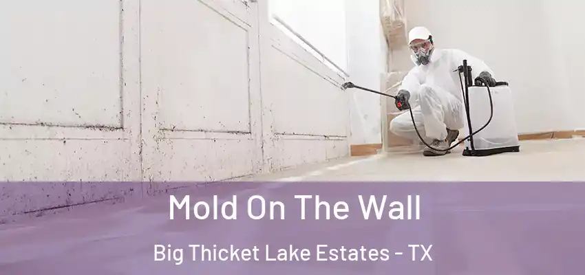  Mold On The Wall Big Thicket Lake Estates - TX