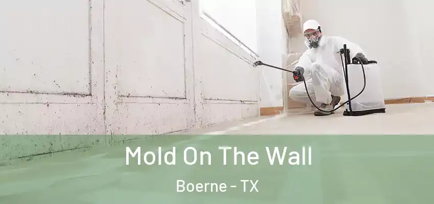  Mold On The Wall Boerne - TX