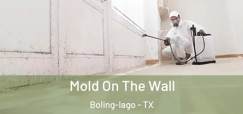  Mold On The Wall Boling-Iago - TX