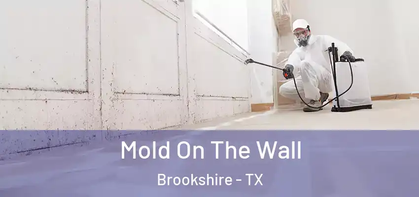  Mold On The Wall Brookshire - TX