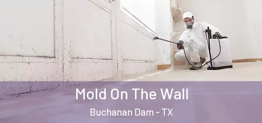  Mold On The Wall Buchanan Dam - TX
