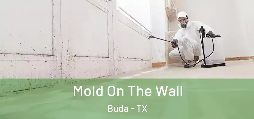  Mold On The Wall Buda - TX